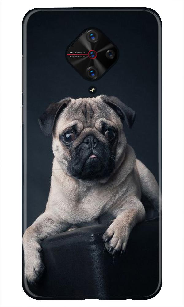 little Puppy Case for Vivo S1 Pro