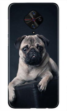 little Puppy Mobile Back Case for Vivo S1 Pro (Design - 68)