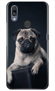 little Puppy Mobile Back Case for Vivo Y11 (Design - 68)