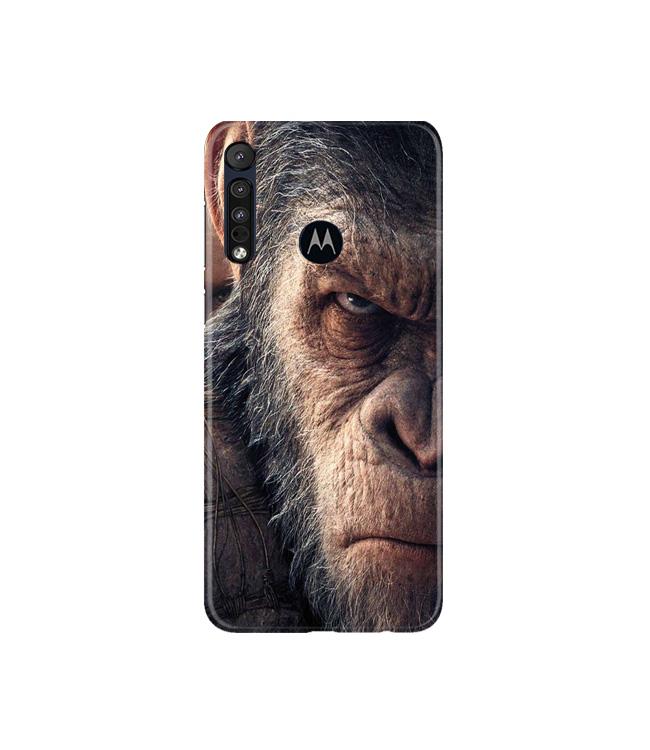 Angry Ape Mobile Back Case for Moto G8 Plus (Design - 316)