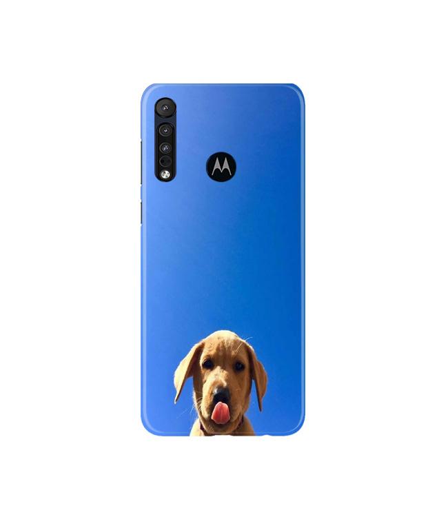 Dog Mobile Back Case for Moto G8 Plus (Design - 332)