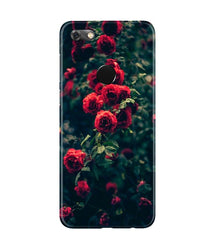 Red Rose Mobile Back Case for Gionee M7 / M7 Power (Design - 66)