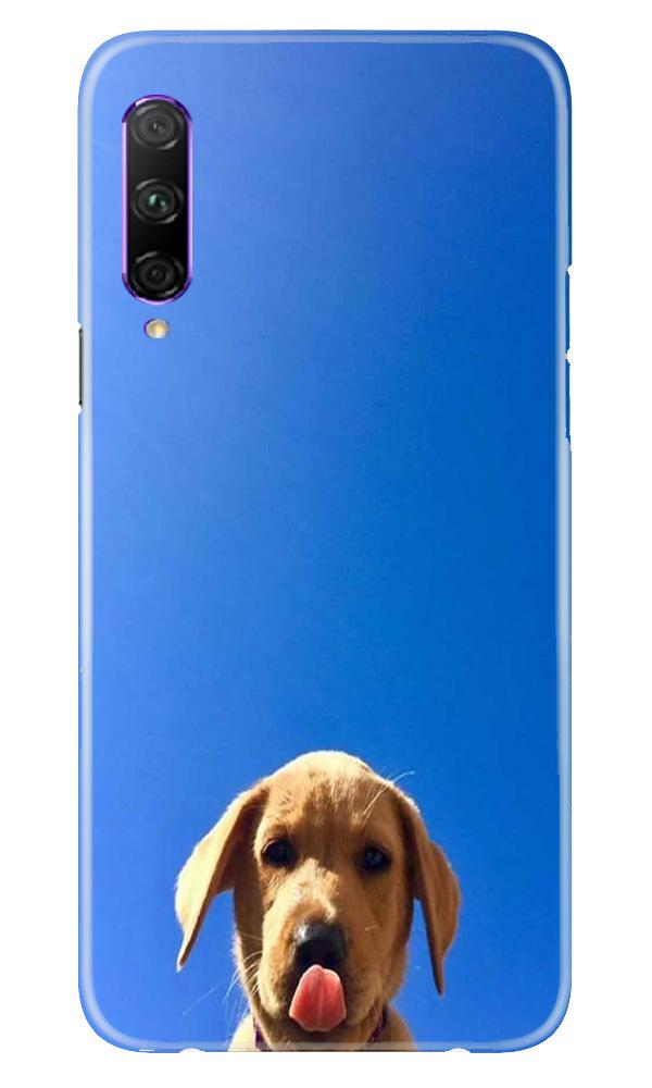 Dog Mobile Back Case for Huawei Y9s (Design - 332)