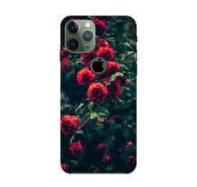 Red Rose Mobile Back Case for iPhone 11 Pro Max logo cut (Design - 66)