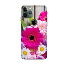 Coloful Daisy2 Mobile Back Case for iPhone 11 Pro Max logo cut (Design - 76)