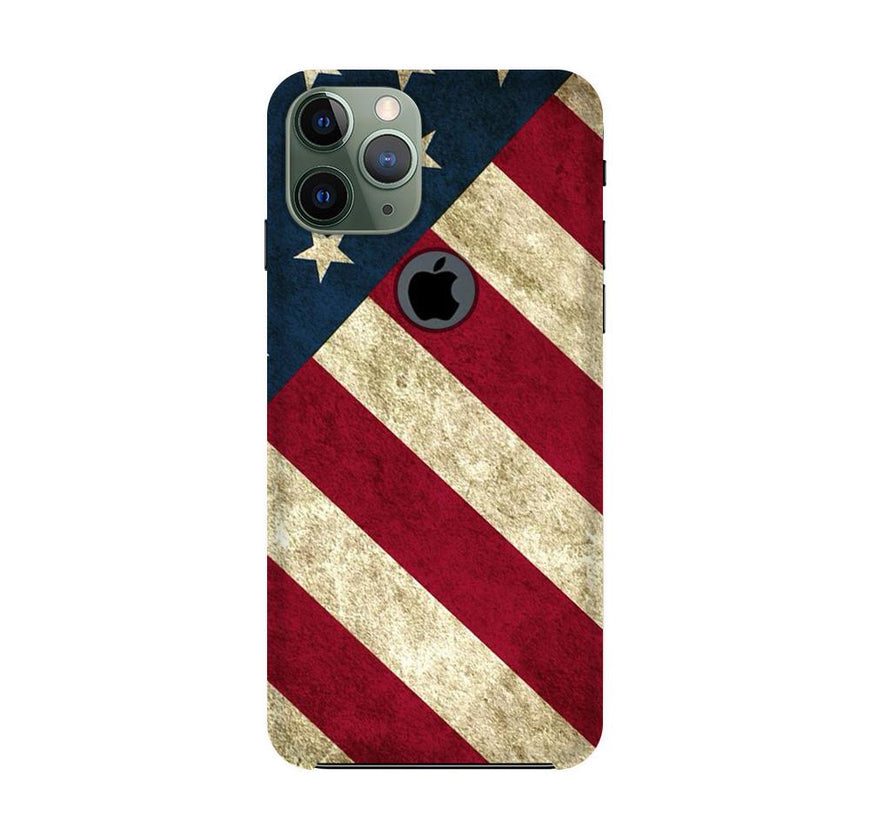 America Case for iPhone 11 Pro Max logo cut