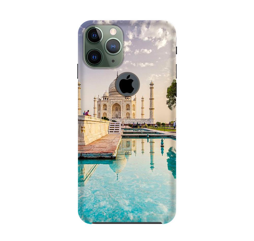 Tajmahal Case for iPhone 11 Pro Max logo cut