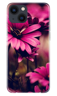 Purple Daisy Mobile Back Case for iPhone 13 (Design - 65)