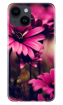 Purple Daisy Mobile Back Case for iPhone 14 (Design - 65)