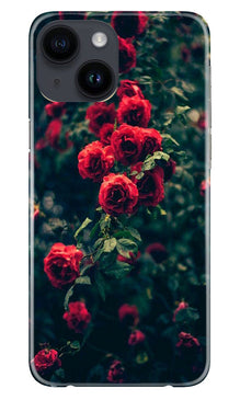 Red Rose Mobile Back Case for iPhone 14 (Design - 66)