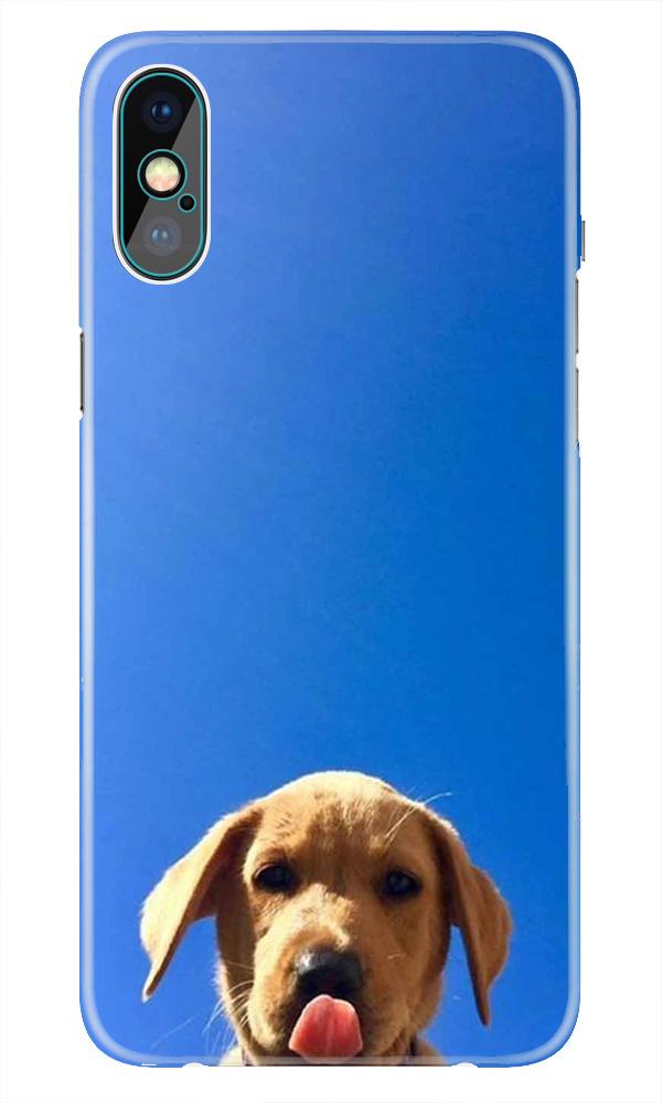 Dog Mobile Back Case for iPhone Xs Max(Design - 332)