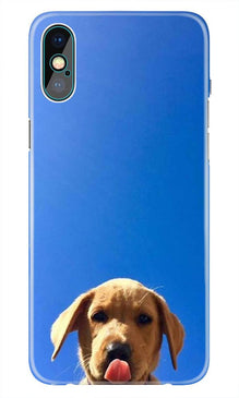 Dog Mobile Back Case for iPhone Xs Max  (Design - 332)