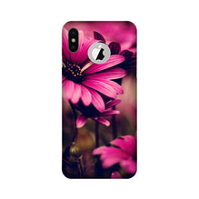 Purple Daisy Mobile Back Case for iPhone Xs logo cut  (Design - 65)