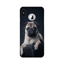 little Puppy Mobile Back Case for iPhone Xs logo cut  (Design - 68)