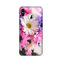 Coloful Daisy Mobile Back Case for iPhone Xs logo cut  (Design - 73)