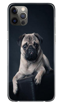 little Puppy Mobile Back Case for iPhone 12 Pro Max (Design - 68)