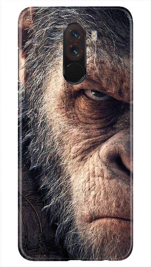 Angry Ape Mobile Back Case for Poco F1  (Design - 316)