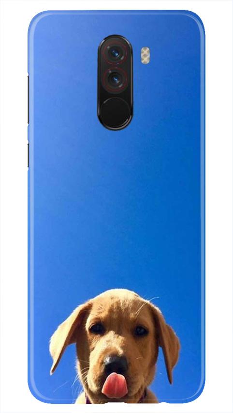 Dog Mobile Back Case for Poco F1  (Design - 332)