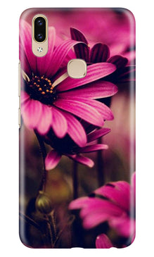 Purple Daisy Mobile Back Case for Zenfone 5z (Design - 65)